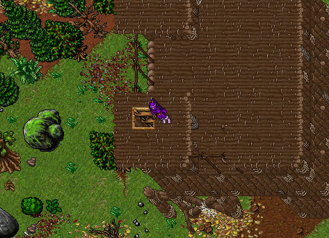 Arquivo:Outlaw Castle torre sudoeste.png