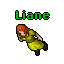 Liane.gif