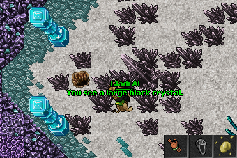 Cursed Crystal Quest 34.png