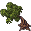 Kapok Tree.gif