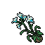 Pearl Petal Flowers 2.gif