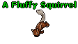 A Fluffy Squirrel.gif