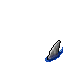 Shark Fin.gif