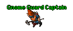 Gnome Guard Captain.gif