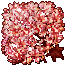 Cherry Blossom.gif