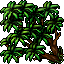 Mango Tree 02.gif