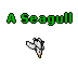 A Seagull.gif