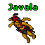 Javala.gif