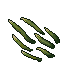 Patch of Bluish Whisper Reed 2.gif