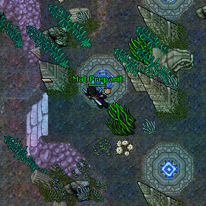 Twenty Miles Beneath the Sea Quest Imagem 5.png