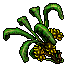 Banana Tree 05.gif