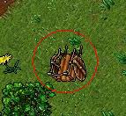 The Beginning Quest3.JPG