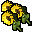 Some Sunflowers.gif