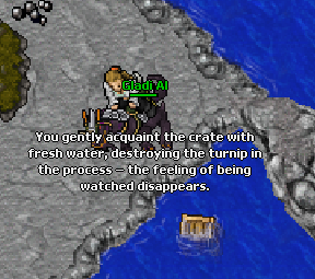 Rathleton Turnip Party6.png