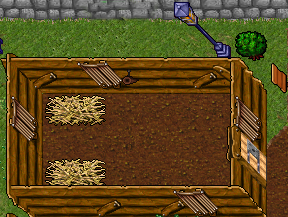 Smuggler Backyard 1.png