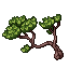 Pine Tree05.gif
