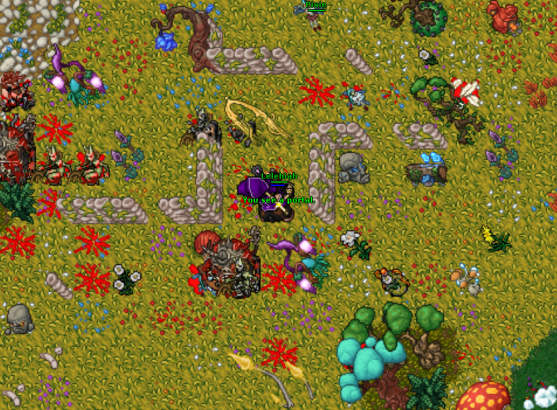 Summer Court Portal.png