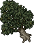 Slumbering Tree.gif