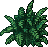 Ferns.gif