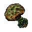 Moss Cap Mushroom.gif