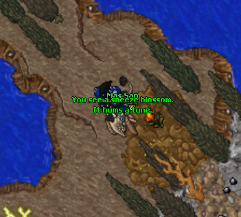 Arquivo:Blossom 3.png