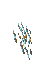Moonsilver (Parede) 5.gif