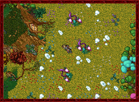 Arquivo:Summer Update 2017 - Teaser 4 01.gif