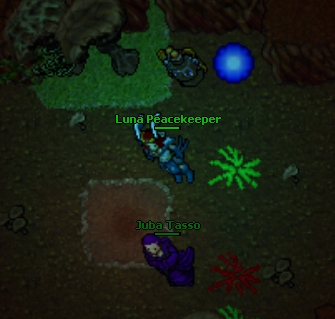 Apos os mushrooms.jpg