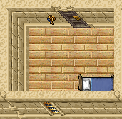 Paupers Palace Flat 25.png