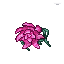 Big Rose.gif