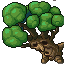 Sentient Oak 00.gif
