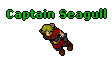 Captain Seagull.gif