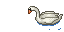 Swan.gif