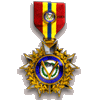 Medalha de reconhecimento por seu excelente trabalho na criação do Novo Wiki