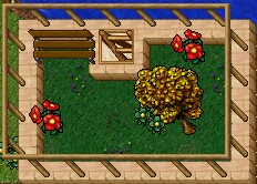 Arquivo:Northern Street 7 Jardim.png