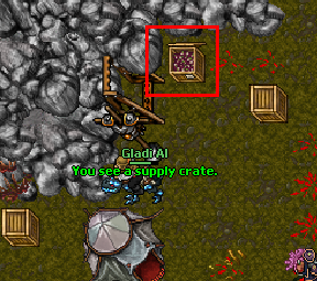 Rathleton Turnip Party3.png