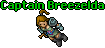 Captain Breezelda.gif