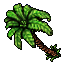 Coconut Palm.gif