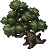 Lurking Tree.gif