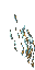 Moonsilver (Parede) 7.gif