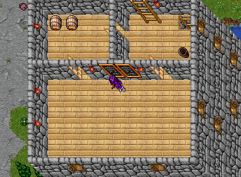 Arquivo:Wolftower seg.png