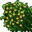 Dawnfire Herb Plant.gif