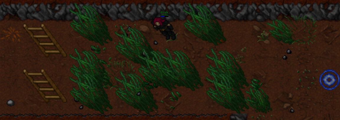 Entrada de Mintwallin