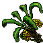 Banana Tree 06.gif