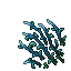 Patch of Blue Tide Veil.gif