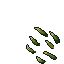 Patch of Bluish Whisper Reed 3.gif