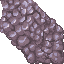 Coral Stone.gif