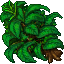 Jungle Dweller Bush.gif