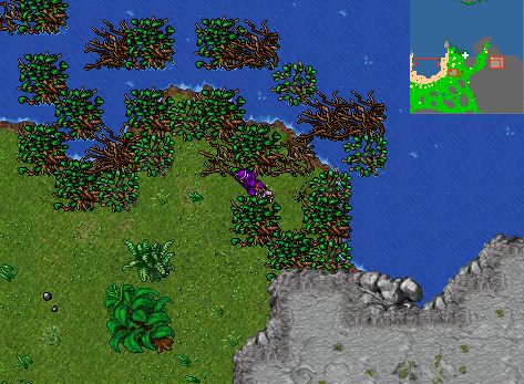 Arquivo:Mountain Hideout entrada leste praia.png