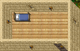 Paupers Palace Flat 31 Terreo.png